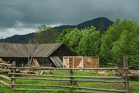190604-0380.jpg