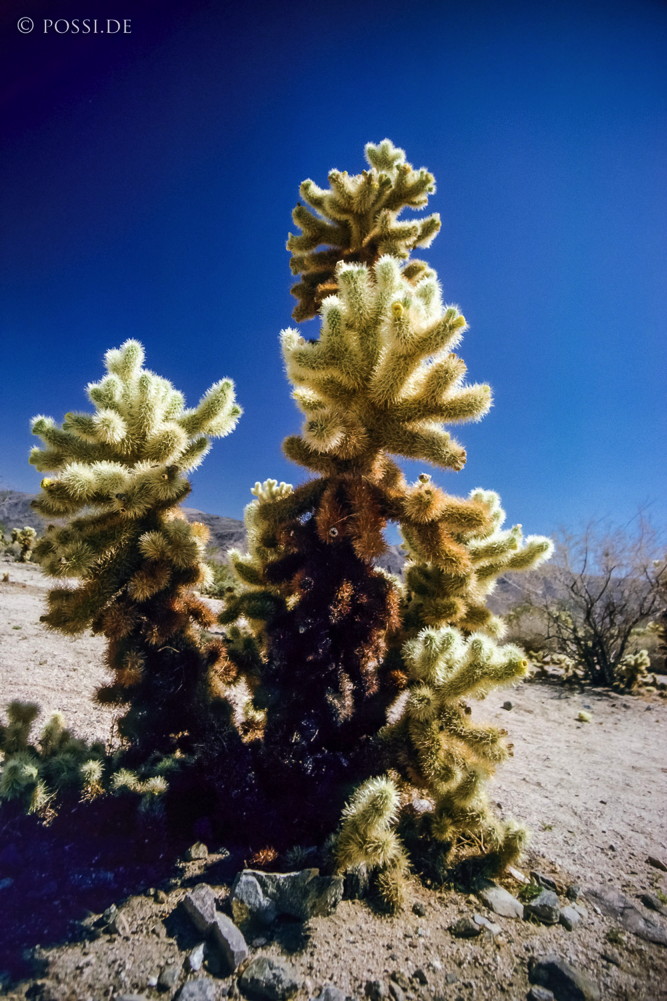 100325-0278.jpg