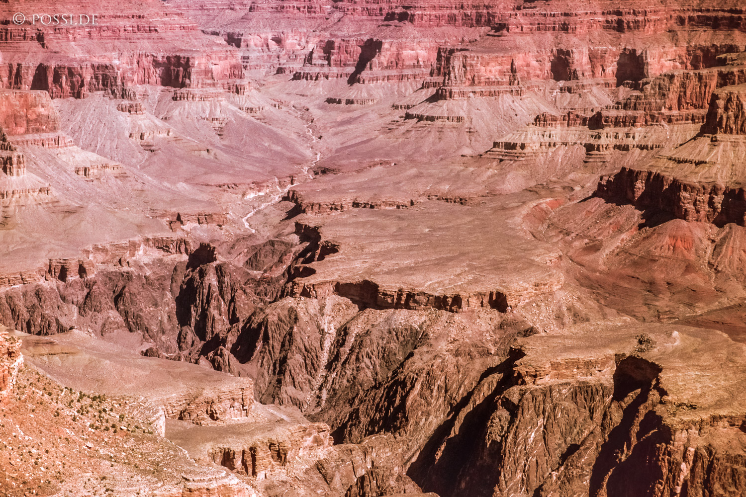 100327-0361.jpg