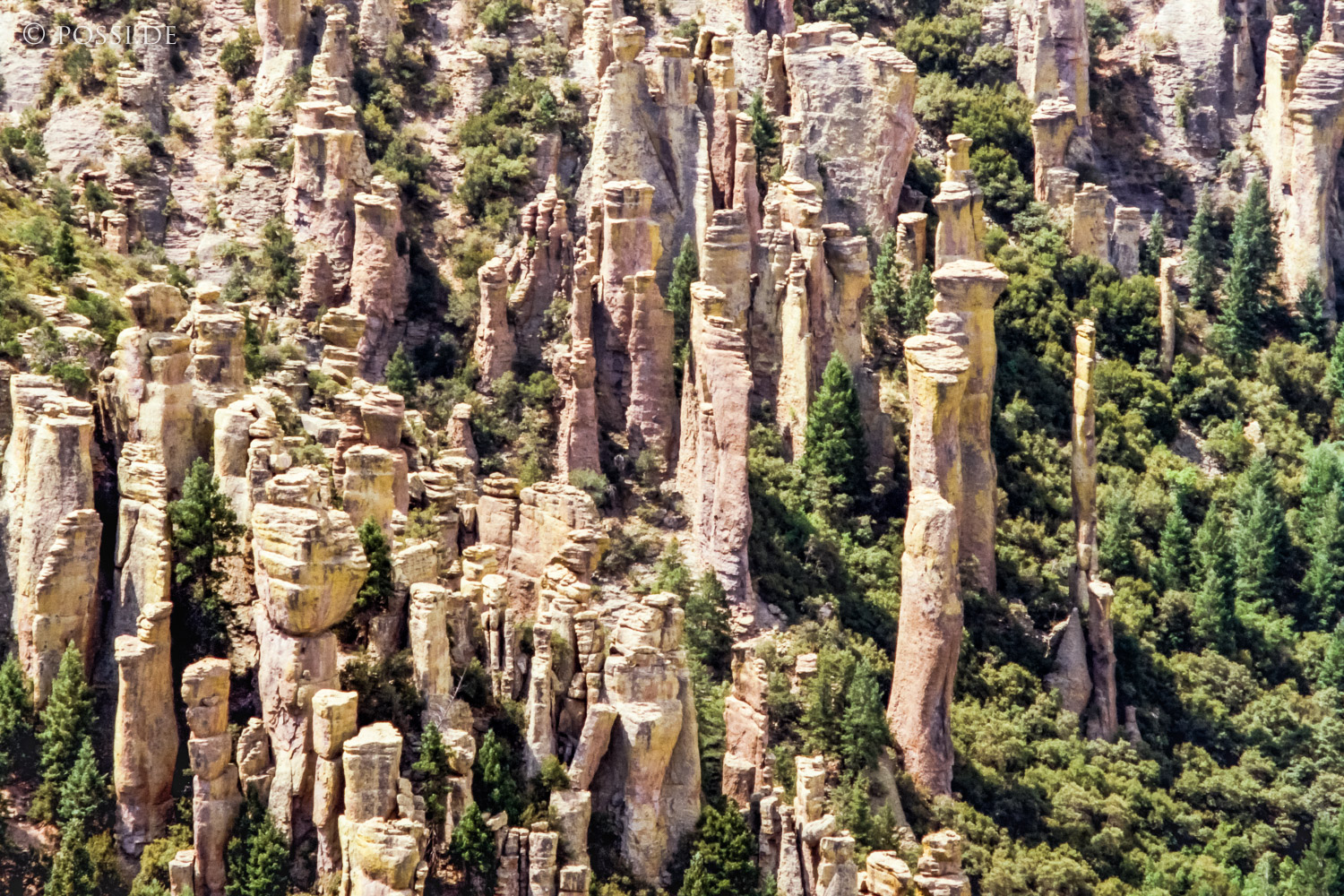 100327-0509.jpg