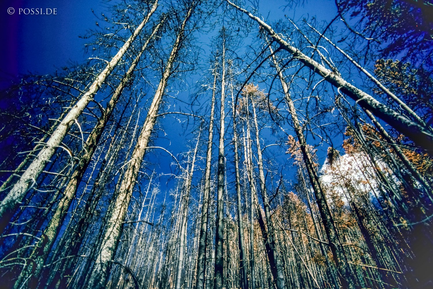 100328-0701.jpg