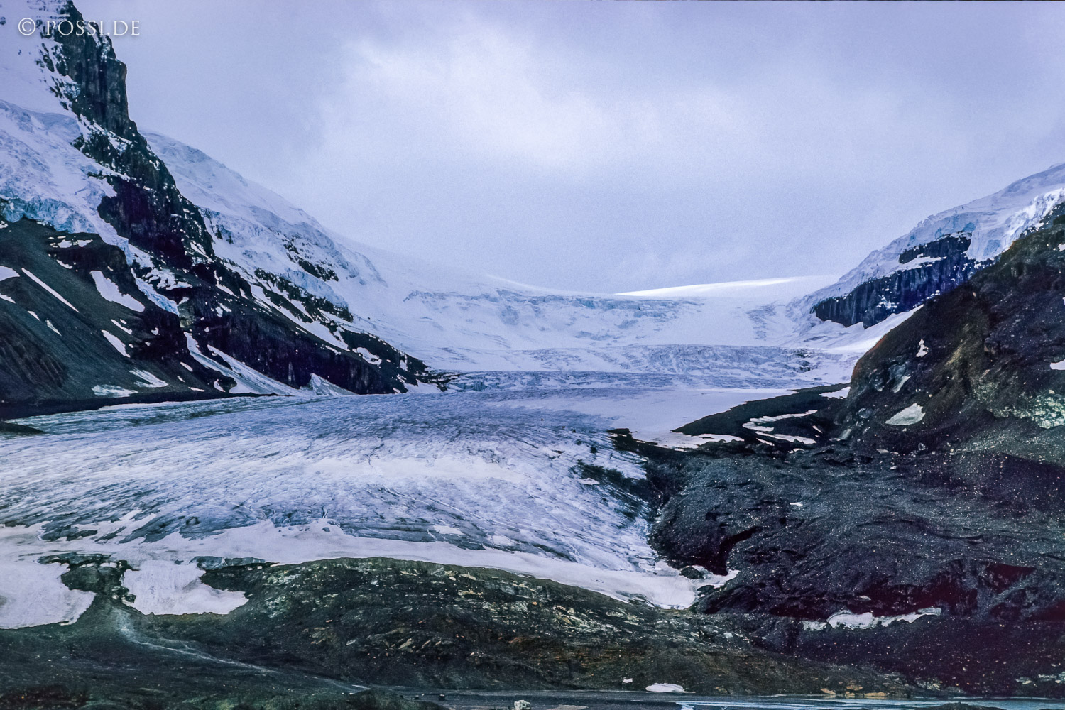 100328-0767.jpg