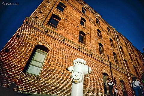 100309-0128.jpg