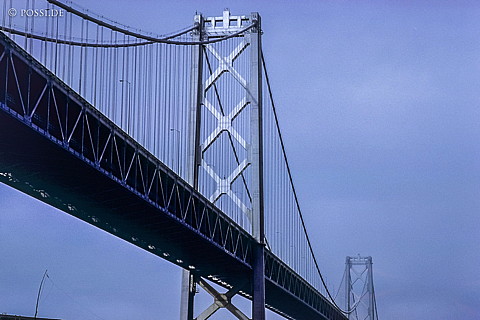 100324-0158.jpg