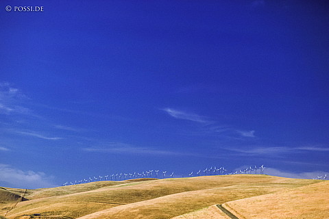 100324-0160.jpg