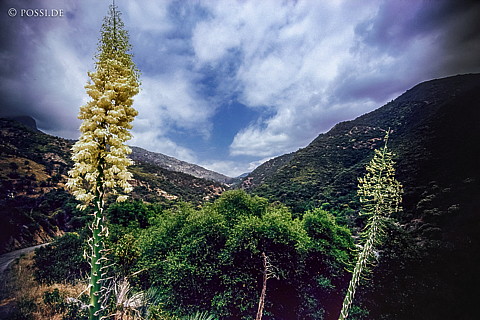 100324-0210.jpg