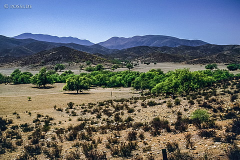 100325-0262.jpg