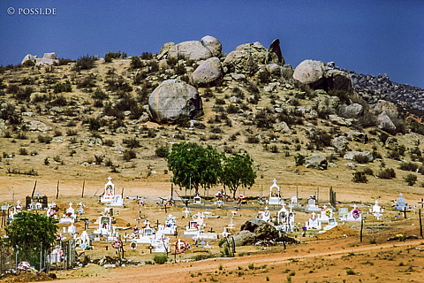 100325-0264.jpg