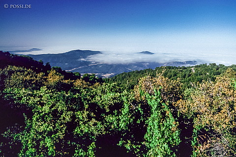 100325-0272.jpg