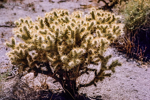 100325-0276.jpg