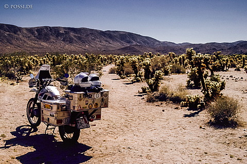 100325-0277.jpg
