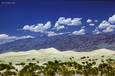100325-0294.jpg