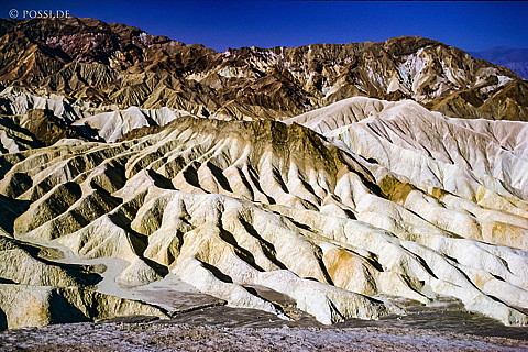 100327-0325.jpg