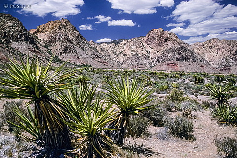 100327-0333.jpg
