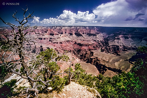 100327-0359.jpg