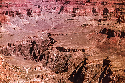 100327-0361.jpg