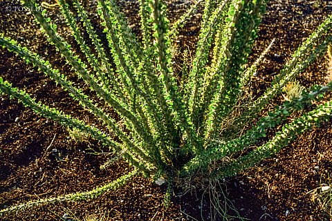 100327-0378.jpg