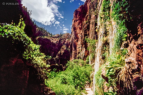 100327-0383.jpg