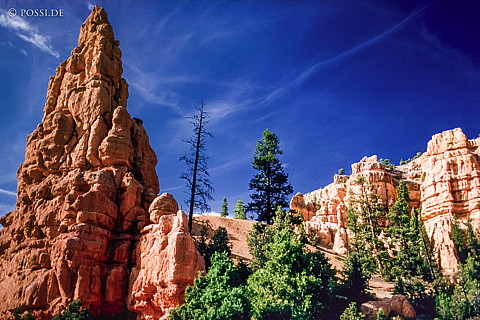 100327-0394.jpg