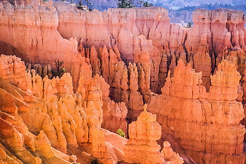 100327-0405.jpg