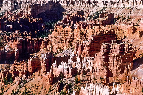 100327-0406.jpg