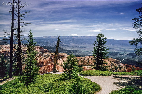 100327-0410.jpg