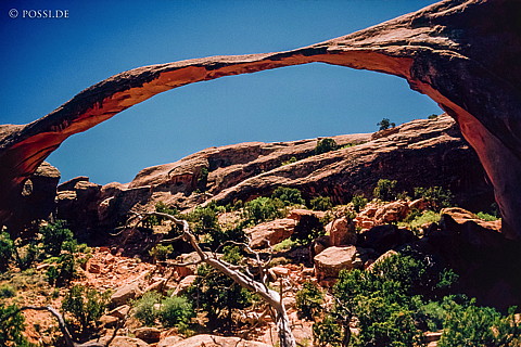 100327-0431.jpg