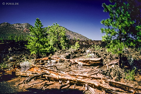 100327-0483.jpg