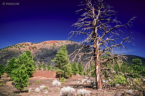 100327-0485.jpg