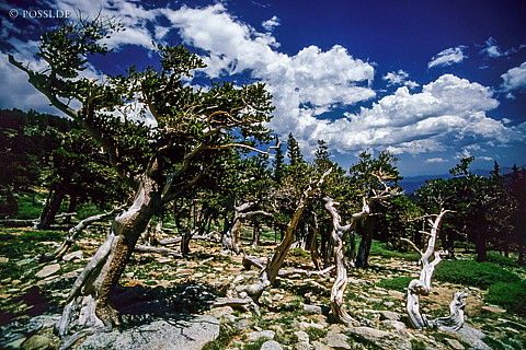 100327-0600.jpg
