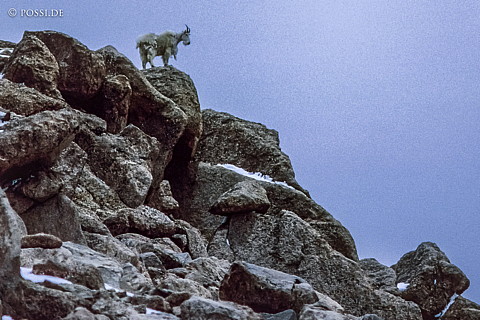 100327-0605.jpg