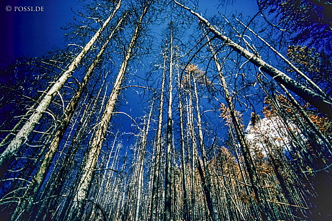 100328-0701.jpg