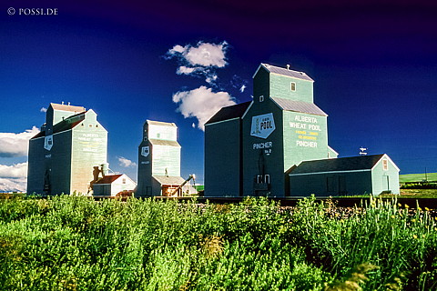100328-0739.jpg