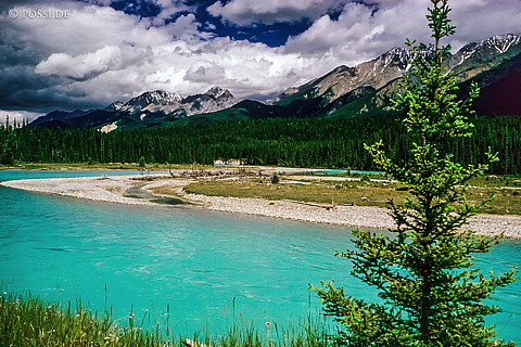 100328-0743.jpg