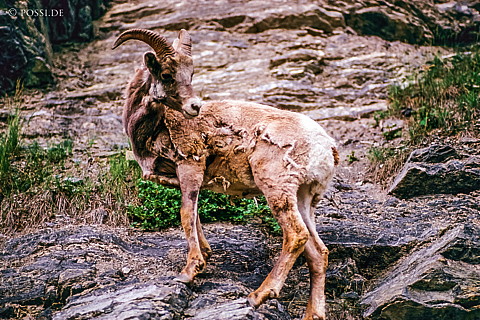 100328-0757.jpg