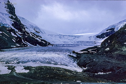 100328-0767.jpg