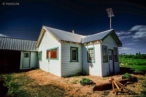100328-0789.jpg