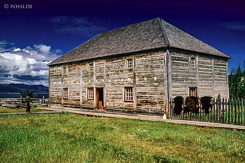 100328-0791.jpg
