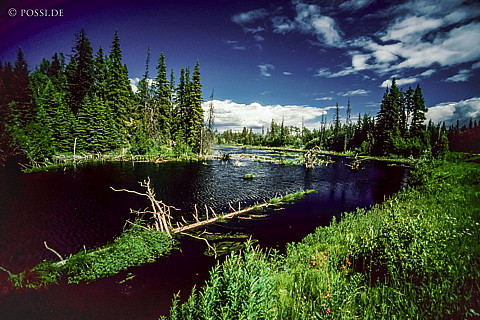 100328-0806.jpg