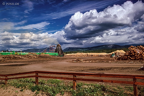 100328-0810.jpg