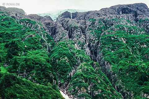 100328-0842.jpg