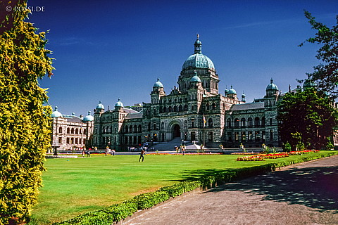 100328-0888.jpg