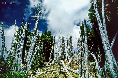 100328-0912.jpg