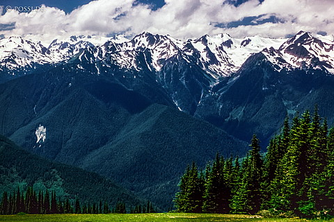 100328-0913.jpg