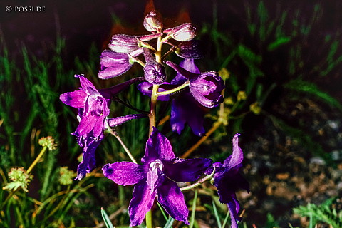 100328-0915.jpg