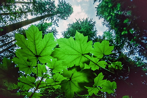 100328-0920.jpg