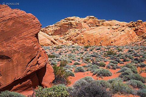 130414-0290.jpg