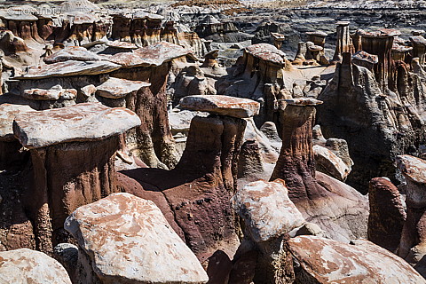 130420-2091.jpg