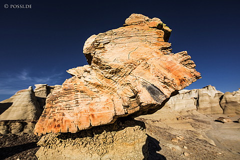 130421-2428.jpg