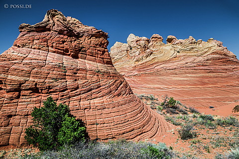 130501-5993.jpg